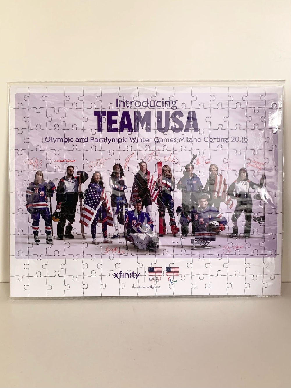 Team USA Paralympic Athletes Poster Puzzle
